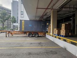 Perfect One (D13), Warehouse #567503911